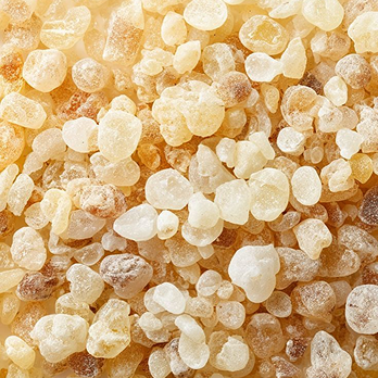 Boswellia Serrata