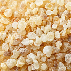 Extracto de Boswellia serrata