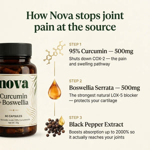 Curcumin + Boswellia Joint Support