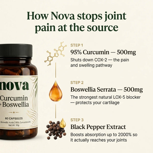 Curcumin + Boswellia Joint Support