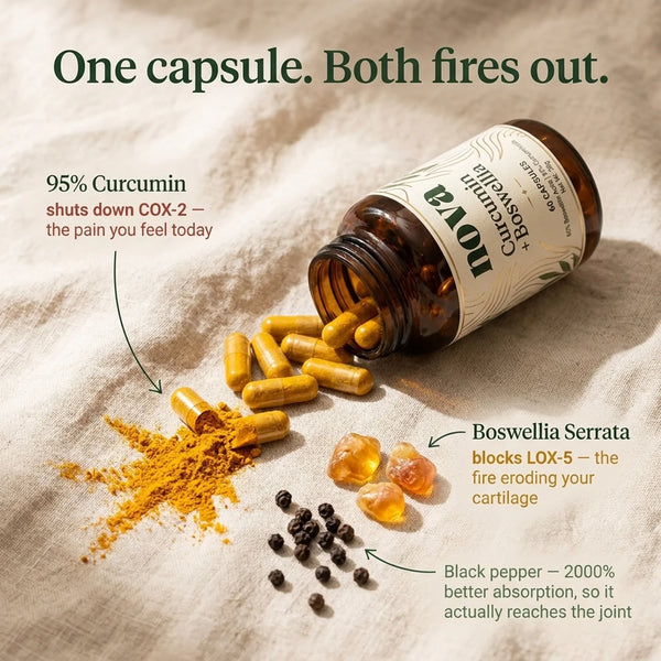 Curcumin + Boswellia Joint Support