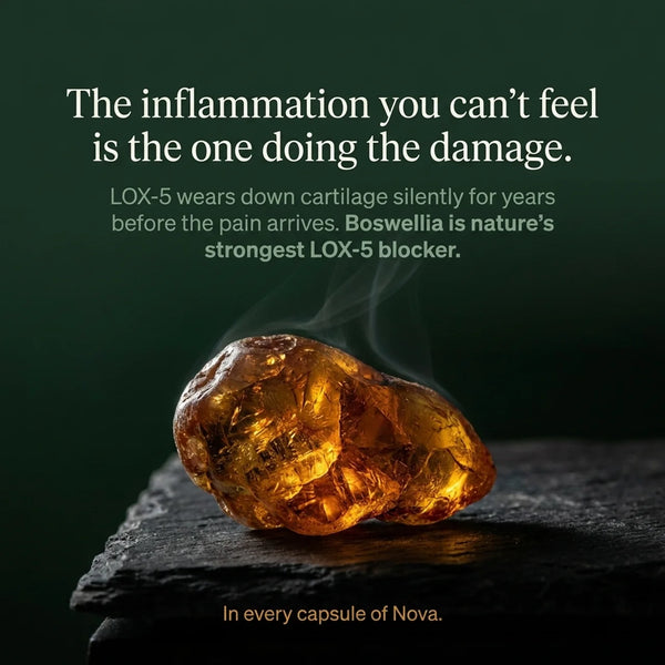 Curcumin + Boswellia Joint Support